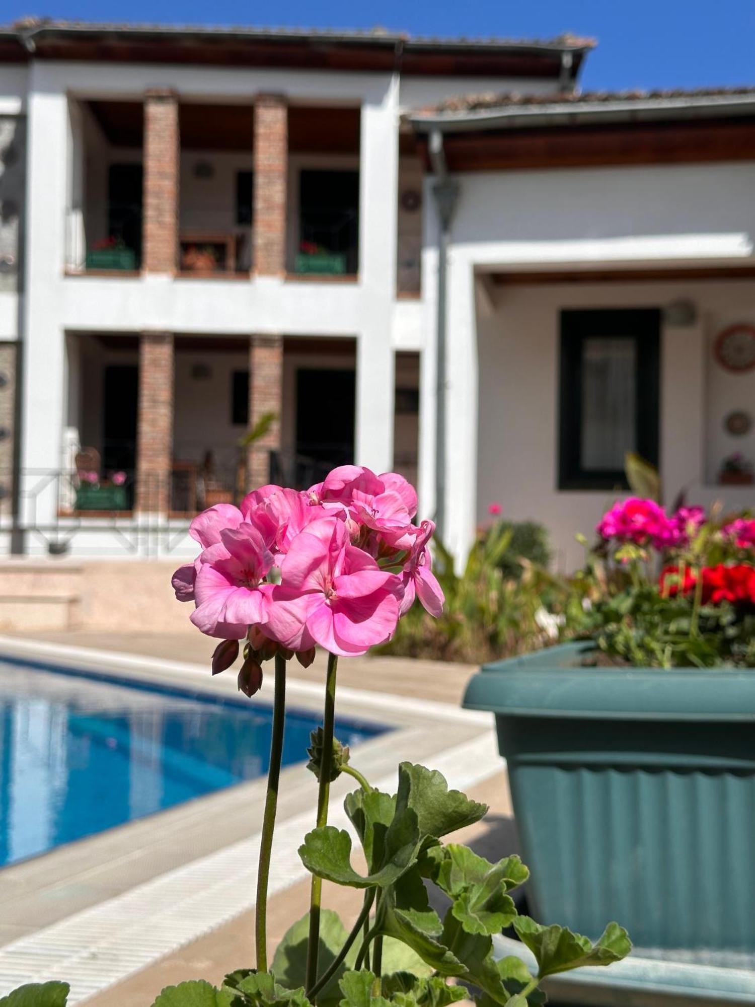 Akay Hotel Selçuk Eksteriør billede